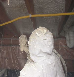 Red Deer AB crawl space insulation